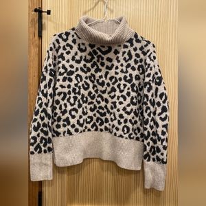 Sweater  Heavyweight Yes Lola